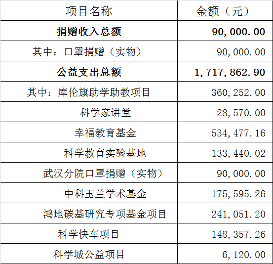 2020年度基金会捐赠收入及支出明细表(图1)