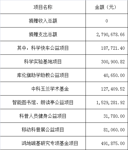 2021年度捐赠收入及捐赠支出明细表(图1)